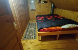 Casa de vacanta , 4 camere , 661 mp teren Dumbravita 