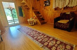 Casa de vacanta , 4 camere , 661 mp teren Dumbravita 