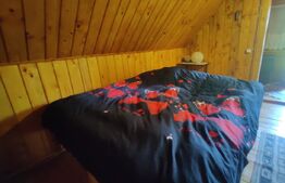 Casa de vacanta , 4 camere , 661 mp teren Dumbravita 