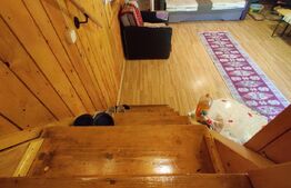 Casa de vacanta , 4 camere , 661 mp teren Dumbravita 