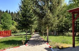 Casa de vacanta , 4 camere , 661 mp teren Dumbravita 