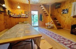 Casa de vacanta , 4 camere , 661 mp teren Dumbravita 