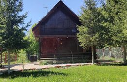 Casa de vacanta , 4 camere , 661 mp teren Dumbravita 