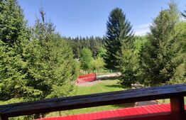 Casa de vacanta , 4 camere , 661 mp teren Dumbravita 