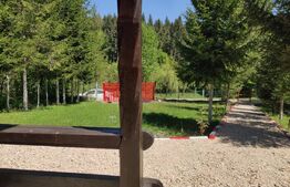 Casa de vacanta , 4 camere , 661 mp teren Dumbravita 