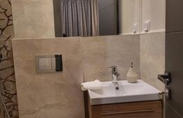 Apartament 1 camere , mobilat si utilat ,  zona  Centrala 