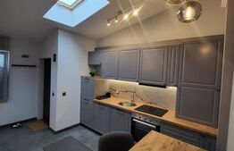 Apartament 1 camere , mobilat si utilat ,  zona  Centrala 