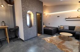 Apartament 1 camere , mobilat si utilat ,  zona  Centrala 