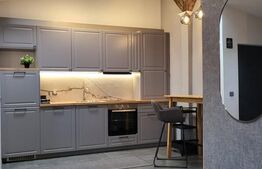 Apartament 1 camere , mobilat si utilat ,  zona  Centrala 