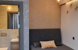 Apartament 1 camere , mobilat si utilat ,  zona  Centrala 