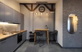 Apartament 1 camere , mobilat si utilat ,  zona  Centrala 