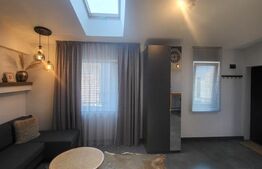 Apartament 1 camere , mobilat si utilat ,  zona  Centrala 