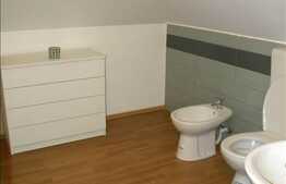 3 camere, 70 mp, mobilat modern, cu scara interioara, zona Interservisan