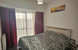 Apartament doua camere, mobilat, parcare, zona Tineretului 