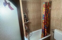 Apartament o camera , 32 mp, etaj intermediar, zona Piata Marasti