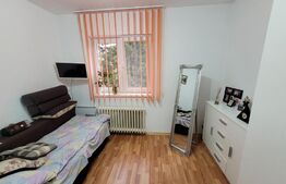 Apartament cu 2 camere, 33mp, zona restaurantului Casa Piratilor