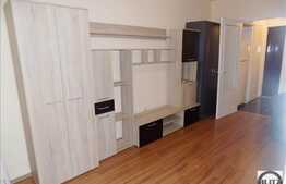 Garsoniera 30 mp, balcon, mobilata, zona strazii Aurel Suciu