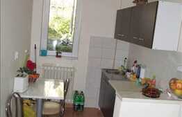 1 camera, 39 mp utili, mobilat partial, zona strazii Aleea Bizusa