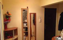 2 camere, 40 mp, complet mobilat si utilat, zona strazii Ariesului