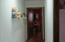 3 camere, 65 mp, mobilat, zona strazii Albac