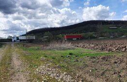 Teren de 4300 mp, cu certificat de urbanism pentru hala productie si depozitare!