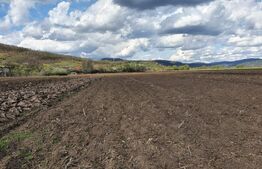 Teren de 4300 mp, cu certificat de urbanism pentru hala productie si depozitare!