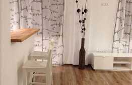 Apartament 1 camera, 43 mp, imobil nou, mobilat, zona strazii Brancusi!