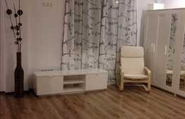Apartament 1 camera, 43 mp, imobil nou, mobilat, zona strazii Brancusi!