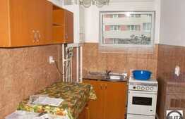 Apartament de inchiriat cu 1 camera, 40 mp utili