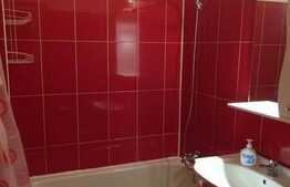 1 camera, 45 mp, decomandat, AC, mobilat modern, zona strazii Vanatorului!