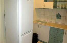 3 camere pe 2 nivele, 80 mp, mobilat modern, imobil tip casa, zona 7 Strazi!