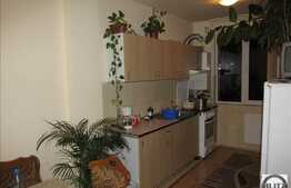 Apartament 2 camere, 55 mp utili, boxa la subsol, dressing, zona Oasului!