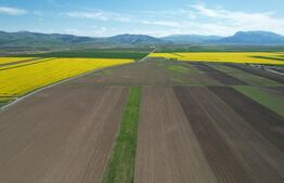 Teren extravilan, 17700mp, zona Prejmer 