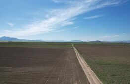 Teren extravilan, 17700mp, zona Prejmer 