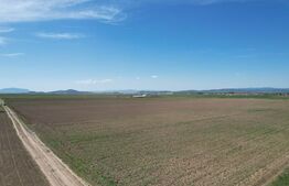 Teren extravilan, 17700mp, zona Prejmer 