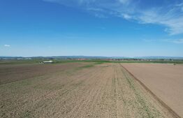 Teren extravilan, 17700mp, zona Prejmer 