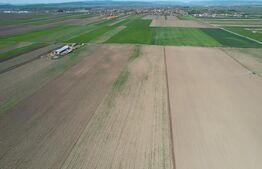 Teren extravilan, 17700mp, zona Prejmer 