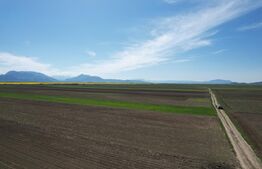 Teren extravilan, 17700mp, zona Prejmer 