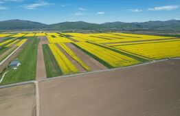 Teren extravilan, 17700mp, zona Prejmer 