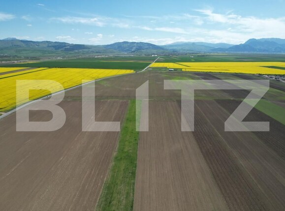 Teren de vânzare Exterior Est - 140739TV | BLITZ Brașov | Poza9