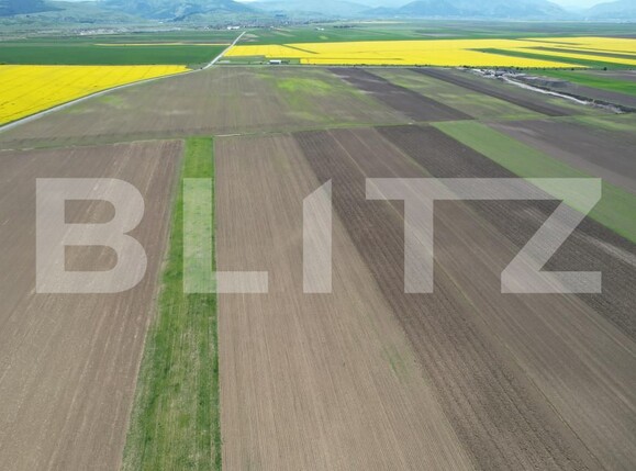 Teren de vânzare Exterior Est - 140739TV | BLITZ Brașov | Poza13