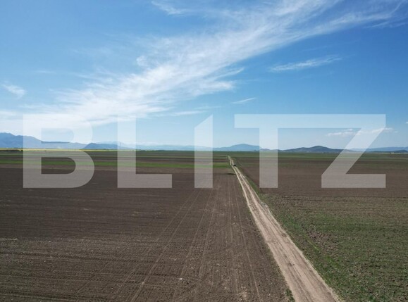 Teren de vânzare Exterior Est - 140739TV | BLITZ Brașov | Poza11