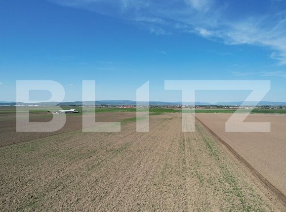 Teren de vânzare Exterior Est - 140739TV | BLITZ Brașov | Poza8