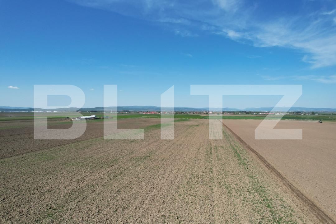 Teren de vânzare Exterior Est - 140739TV | BLITZ Brașov | Poza8