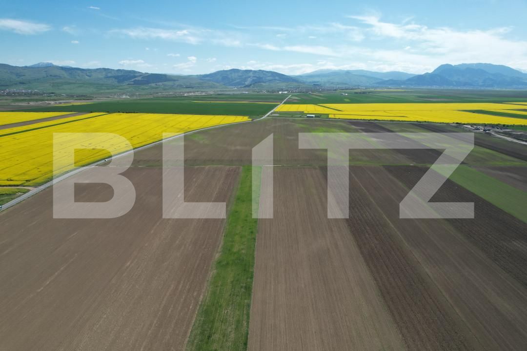 Teren de vânzare Exterior Est - 140739TV | BLITZ Brașov | Poza9