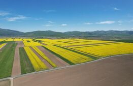 Teren extravilan , 22300MP,  zona Prejmer