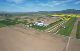 Teren extravilan , 22300MP,  zona Prejmer