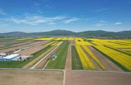 Teren extravilan , 22300MP,  zona Prejmer