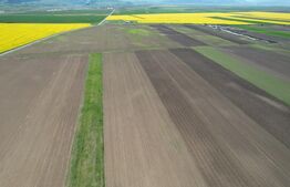 Teren extravilan , 22300MP,  zona Prejmer