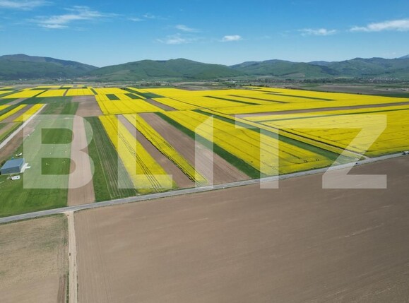 Teren de vânzare Exterior Vest - 140740TV | BLITZ Brașov | Poza8